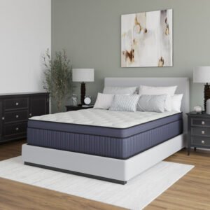 PRESIDENT - 14" Hybrid